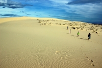 Trải nghiệm cồn cát đẹp nhất miền Trung tại Quảng Bình